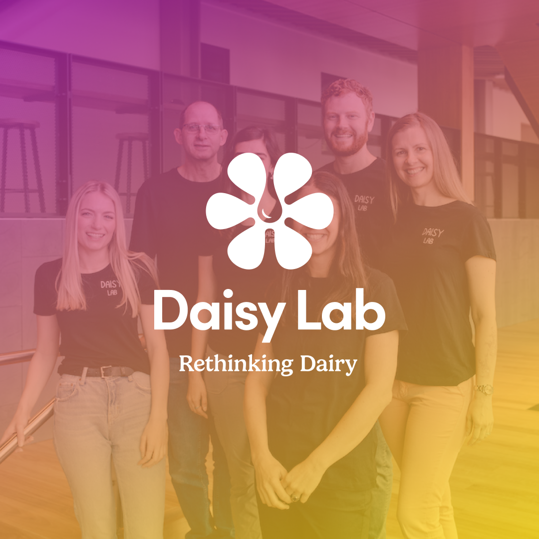 Daisy Lab